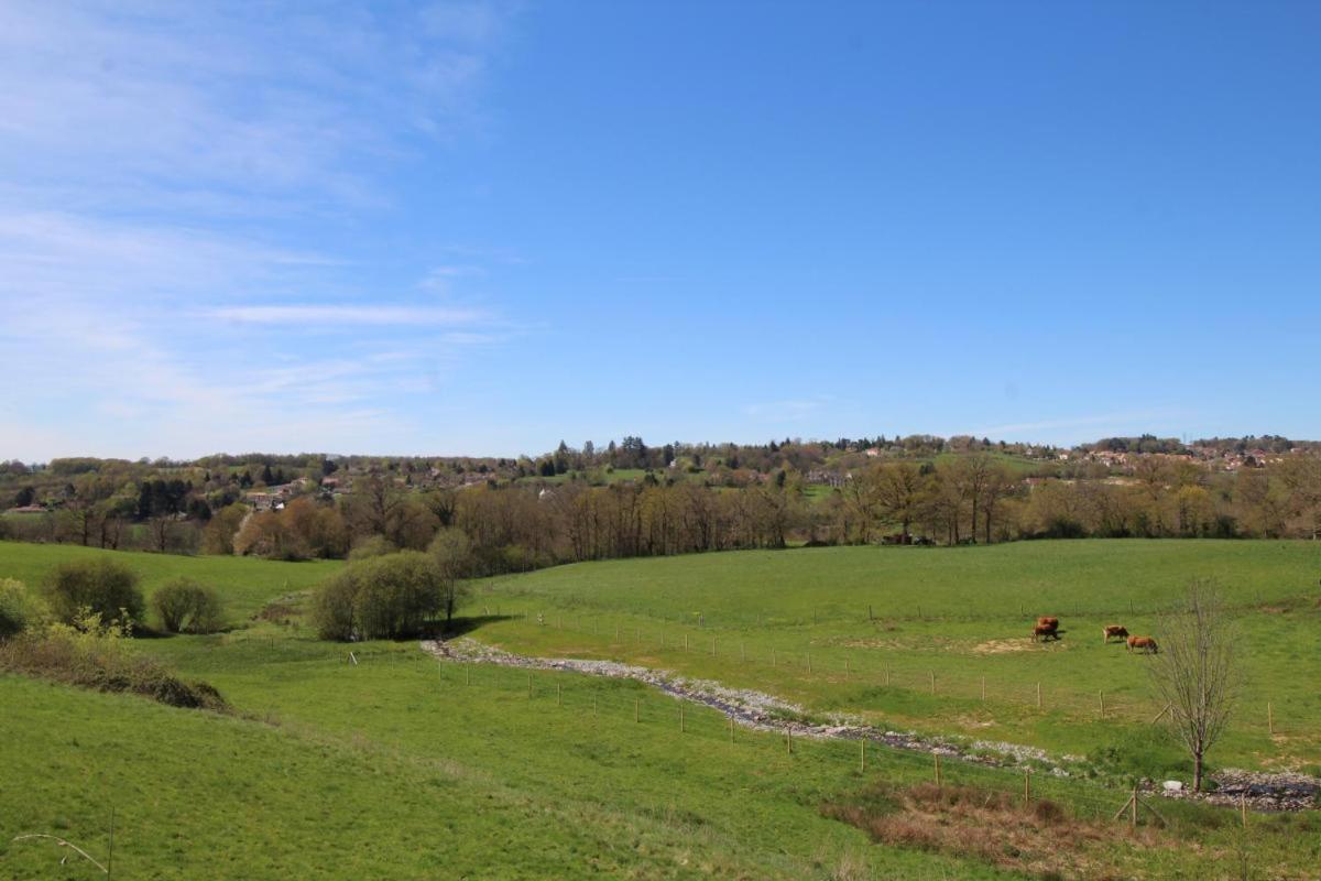 Chez Le Bayle Villa Condat-sur-Vienne Екстериор снимка